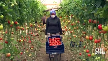 "Ürününüz tarlada, et ve süt elinizde kalmayacak"