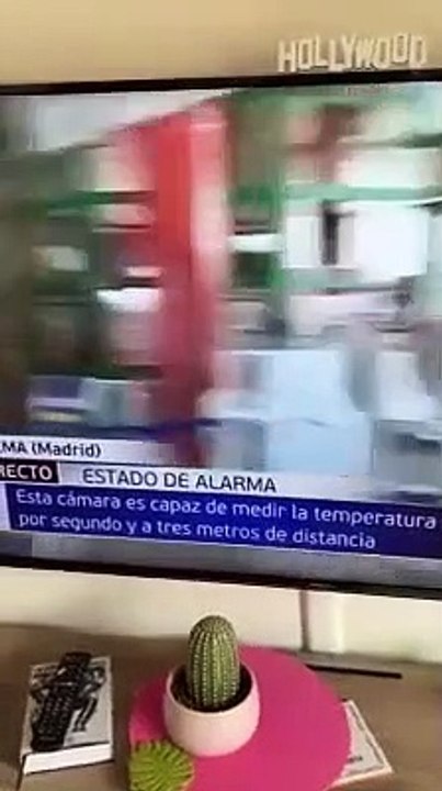 Repórter fica apavorado ao dar 38º de febre durante reportagem em direto