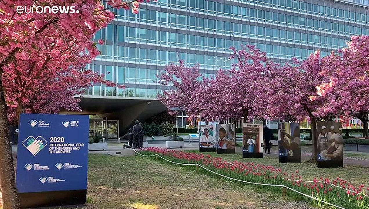 La OMS "lamenta" la supresión de fondos de EEUU a la OMS