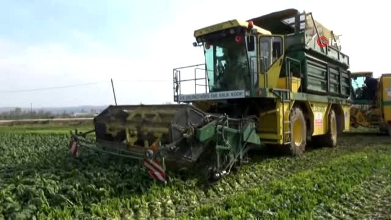 Ispanak tarlada 56 kuruş ama pazarda fiyatı 5 lirayı buluyor