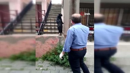 Demir korkuluğa saplanan kedi kurtarıldı