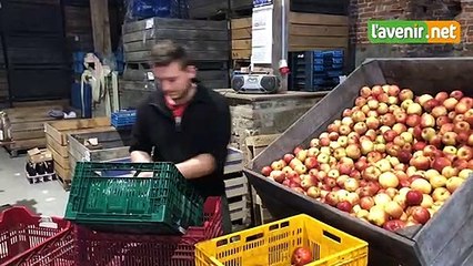 Coronavirus | Alimentation: et si on allait faire ses courses... à la ferme?