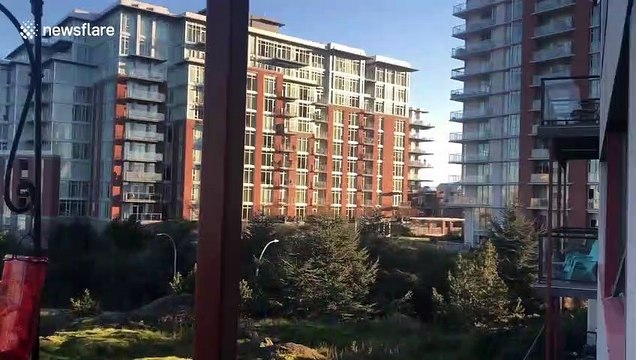 Canadians gather to cheer for those on frontlines of coronavirus fight