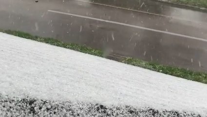 Make up your mind, Mother Nature