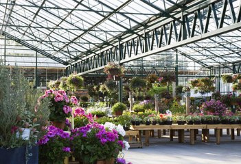 6 Things The Best Garden Shops Get Right, According To The Grumpy Gardener