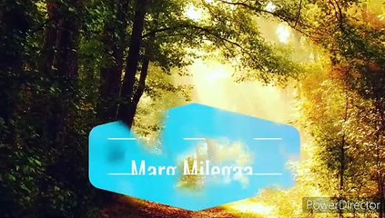 लंका में सीता जी एक घास के तिनके की ओर देखकर ही क्यों रावण से बात  करती थी क्या है रहस्य