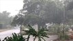 April showers rain down in Florida