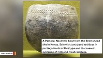 Milk Traces In East African Ancient Pots Reveal Herders' Milk Use 5,000 Years Ago