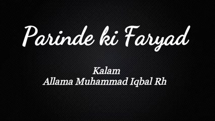 Parinde ki Faryad, پرندے کی فریاد || درد بھرا کلام || Allama Muhammad Iqbal Rh | MJZ Multimedia
