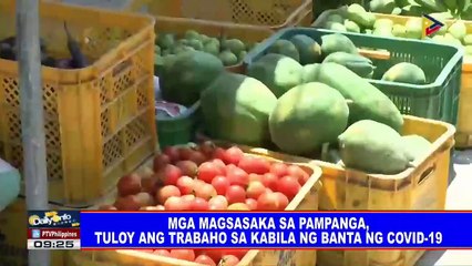 Video herunterladen: Mga magsasaka sa Pampanga, tuloy ang trabaho sa kabila ng banta ng CoVID-19