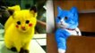 Baby Cats - Cute and Funny Cat Videos Compilation - Baby Cute Cats