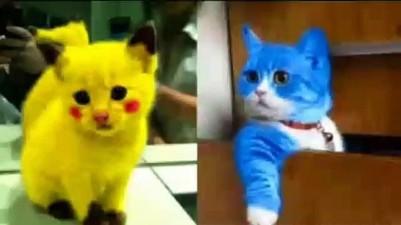 Baby Cats - Cute and Funny Cat Videos Compilation - Baby Cute Cats