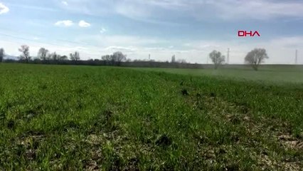 MUŞ'TA OVALARDA BAHAR, YÜKSEKLER KIŞ