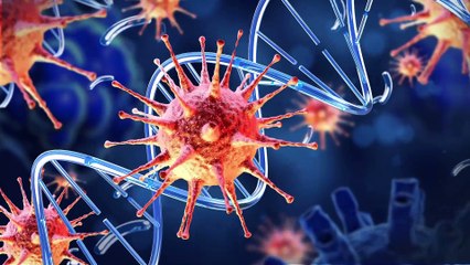 Corona Virus || COVID 19 || Rumors and Panic || Do's and Don't