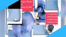 Full Body Dissection Course -  5 Days of Dissection - Idissect.ca