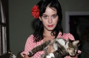Katy Perry mourns the loss of her cat Kitty Purry