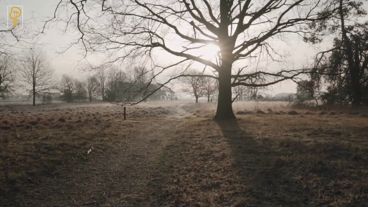 Morning Affirmations - Feel Good Meditations | Start your day Positive