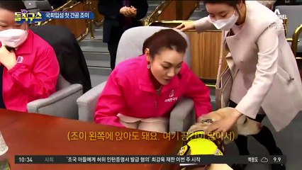 [핫플] 안내견 ‘조이’ 국회입성 첫 견공 된다