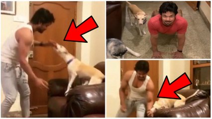 நாய் கடி வாங்கிய  நடிகர் நகுல்  | Lock down with dogs