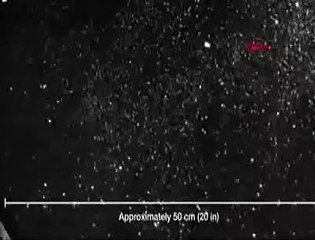 Koronavirüsün havadaki ''8 metrelik'' yolculuğu böyle görüntülendi