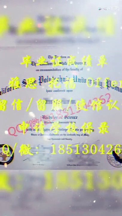 加QQ微信【1851304262】制作美国【MIT斯隆管理学院美 】最新版 毕业证  成绩单 雅思 托福 offer 留信认证 使馆认证——MIT Sloan School of Management degree