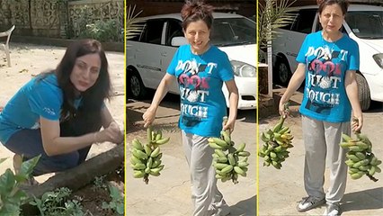 Lockdown च्या काळात किशोरी शहाणे करत आहेत Gardening