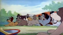 Tom and Jerry  / Lo mejor desde el comienzo /Parte 40 /1940 - 1958