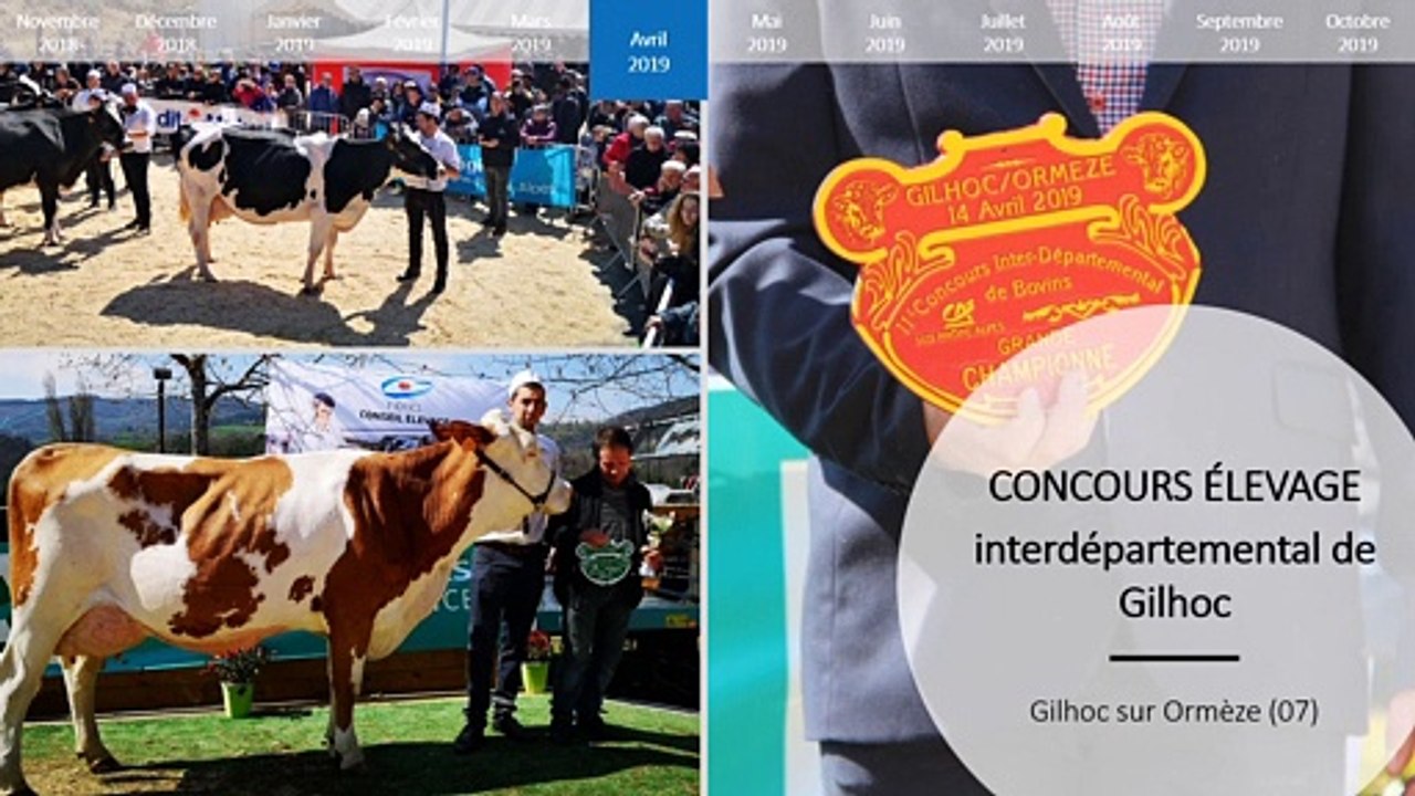 Activités Adice Conseil Elevage 2019