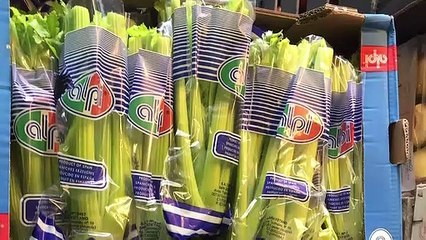 Real Junk Food Project