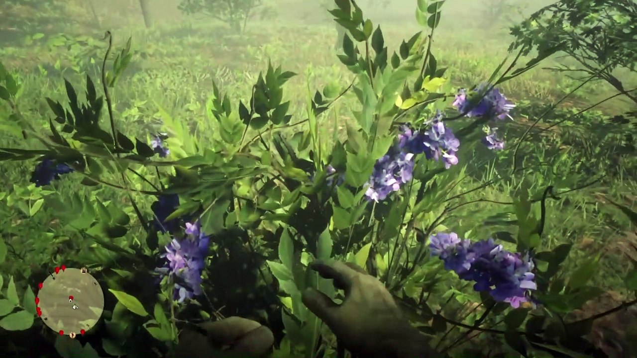 Red Dead Redemption 2 Online Localización de Objetos Colección de Guardia Nocturna (Nuevas Ubicaciones de la colección)
