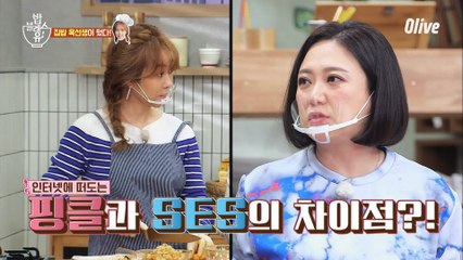 핑클과 SES의 차이점?! 이제는 말할 수 있다.