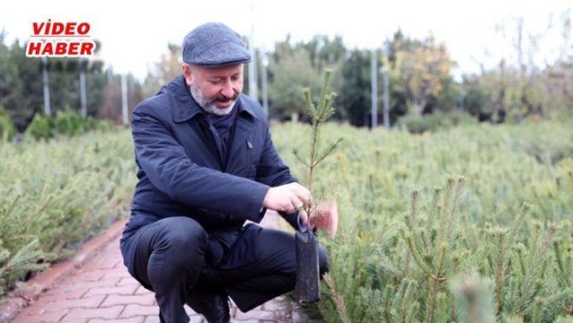 (16 Nisan 2020) KOCASİNAN’DA, AĞAÇLANDIRMA ÇALIŞMALARI REKORA KOŞUYOR