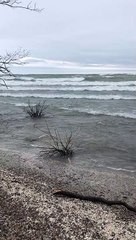 Windy Day Produces Big Waves on Lake