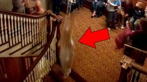 Ghosts Caught On Camera? 5 Scary Ghost Videos