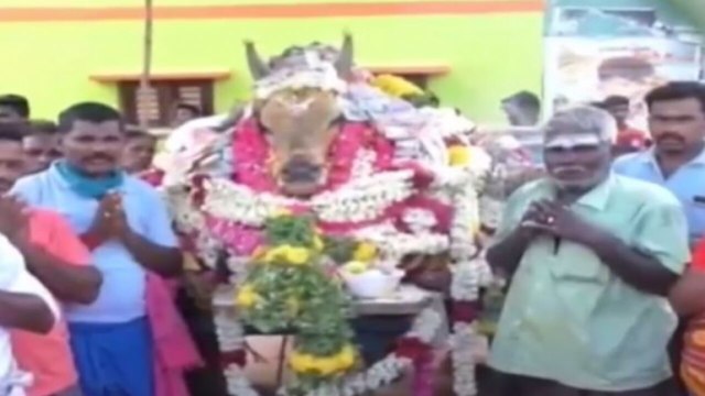 Madurai: Thousands flout lockdown rules for Jallikattu bull's funeral