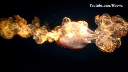 Điểm danh những quái vật khổng lồ đã tuyệt chủng trên Trái đất