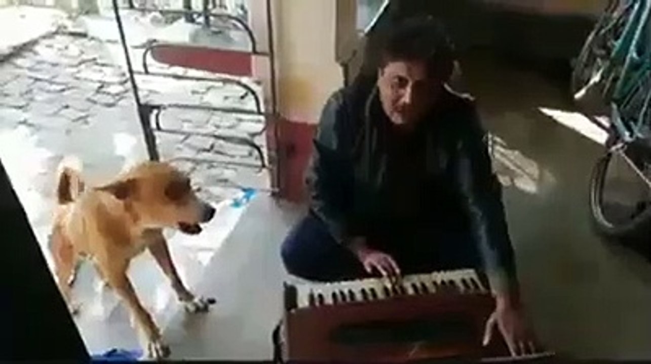 Talented Dog Shows His Singing Skills
