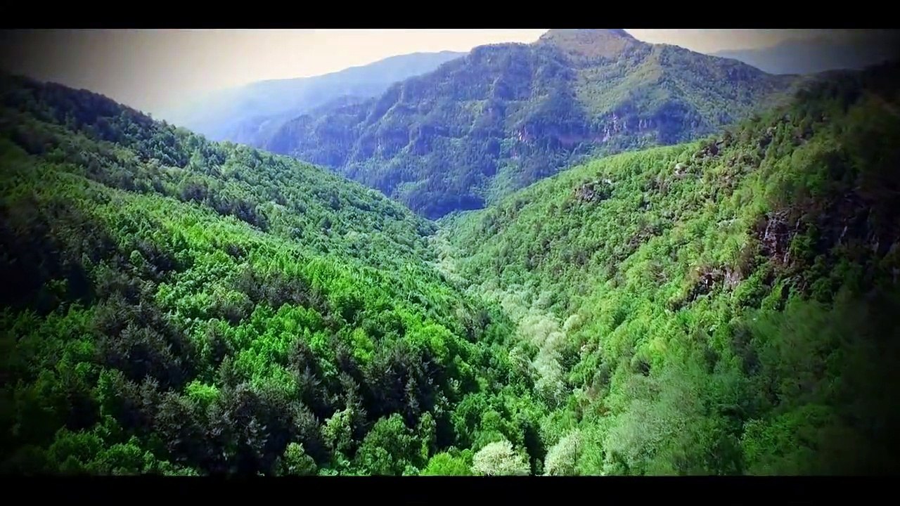 Sase Milenii de Continuitate - Film documentar - Daniel Roxin