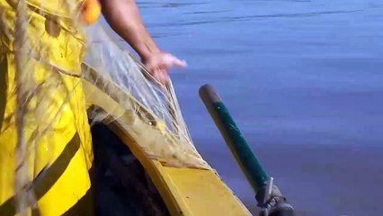 Río Paraná su historia y Biología . Dr Norberto Oldani, Biólogo investigador de Conicet.