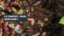 Tendance zéro déchet : le compost en maison ou en appartement