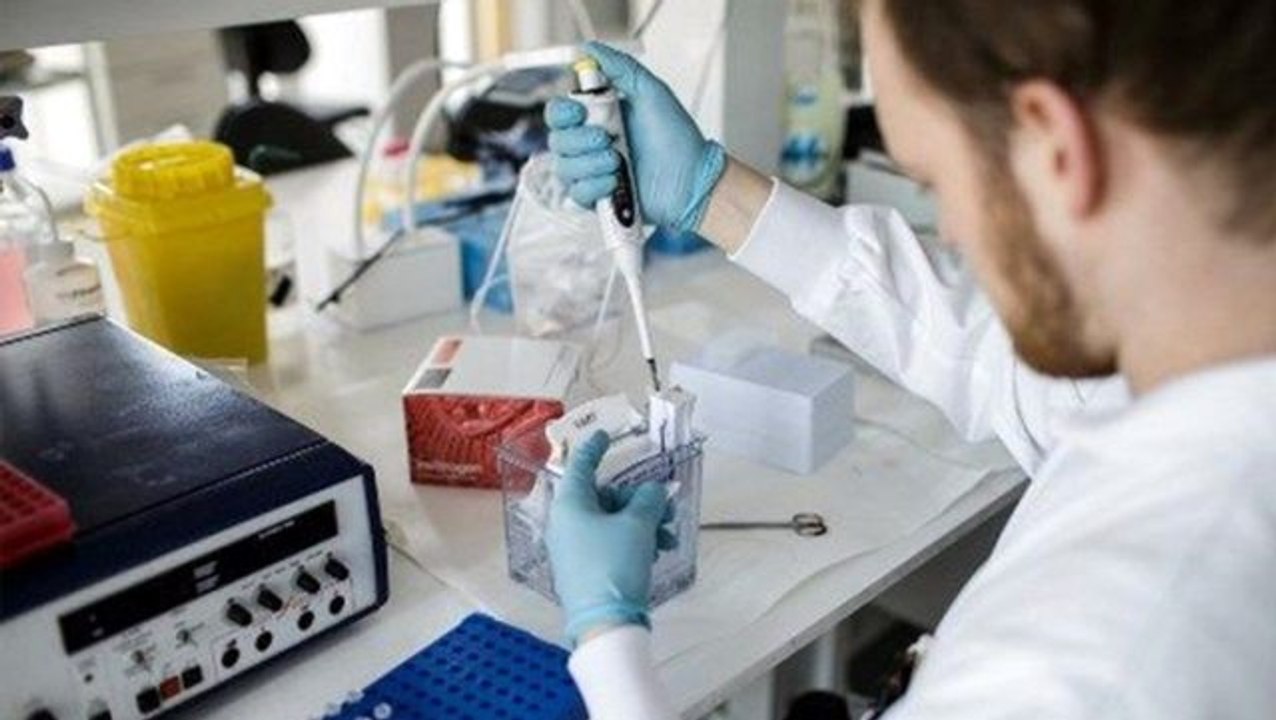 Oxford Üniversitesi, koronavirüs aşısı için insan üzerindeki testlere gelecek hafta başlayacak