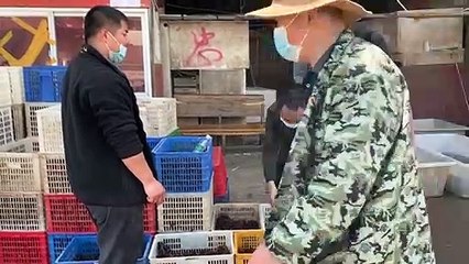 Chine: les marchés de Wuhan rouvrent à l'ombre du virus