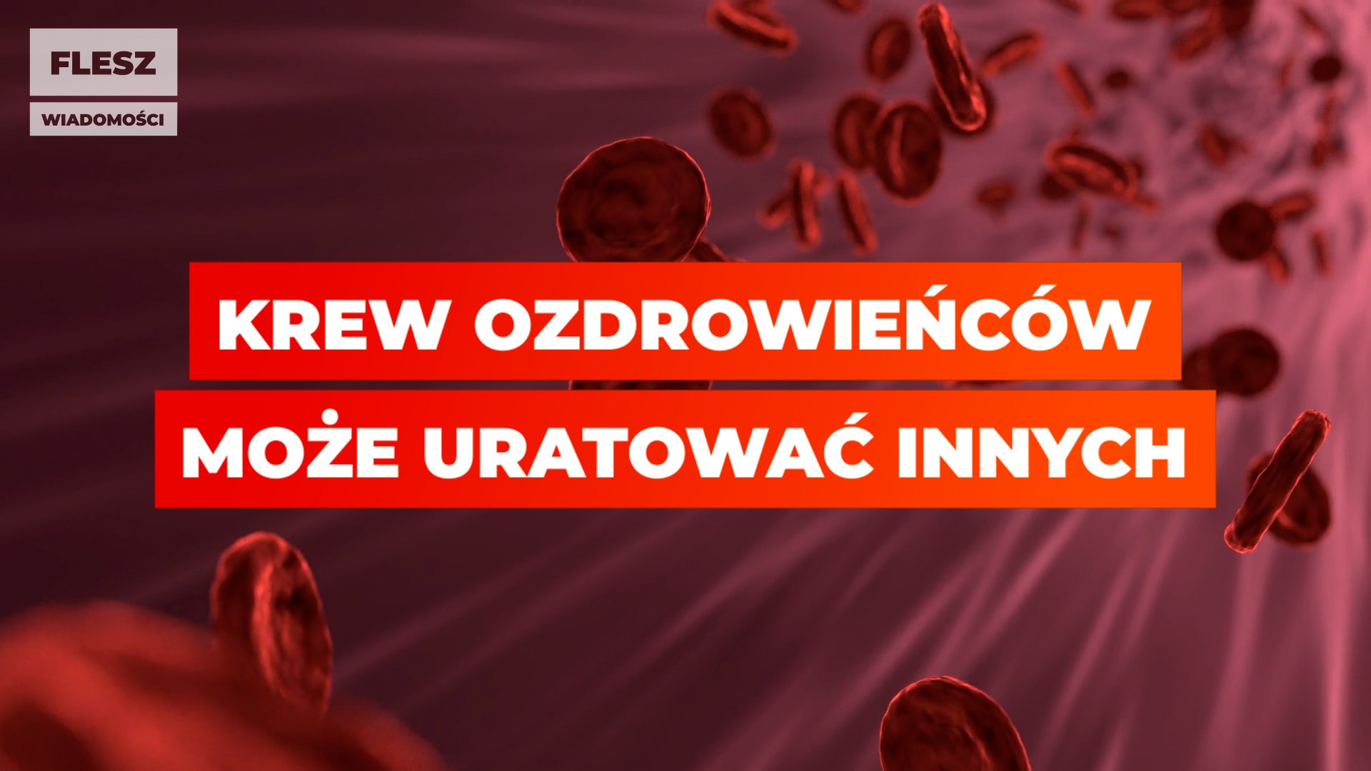 Koronawirus: krew ozdrowieńców może uratować innych
