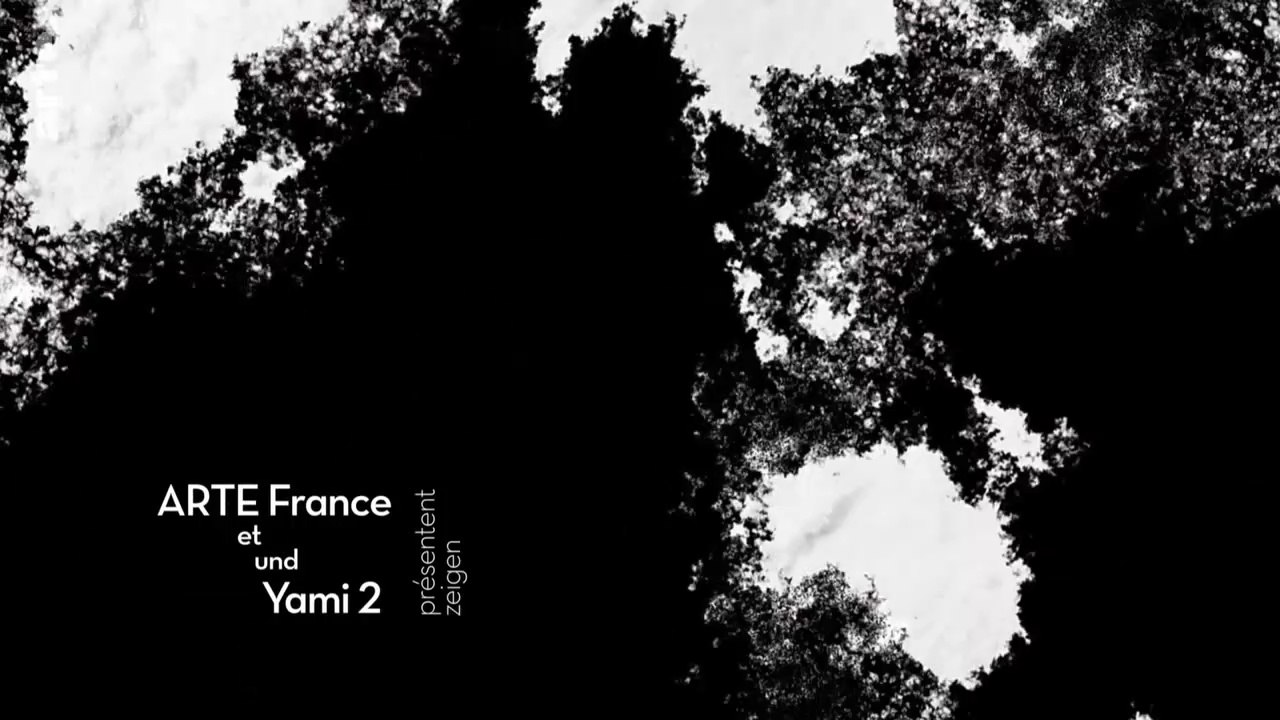 Arte Doku 2020 - Der große Rausch (3/3) - Der globale Drogenkrieg