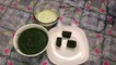 How  To Freeze Green Chutney / Mint & Coriander Chutney / Easy Recipe By Life With Mom
