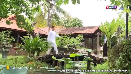 Luật Trời Tập 17 - Phim THVL1 có Link luat troi tap 18 bên dưới - phim luat troi tap 17
