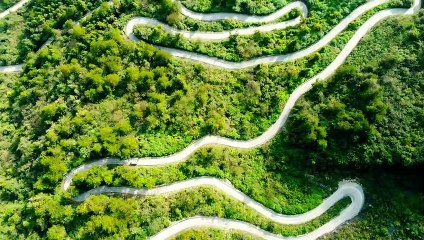 Juninho est prêt à rapatrier une icône du Vélodrome à l'OL