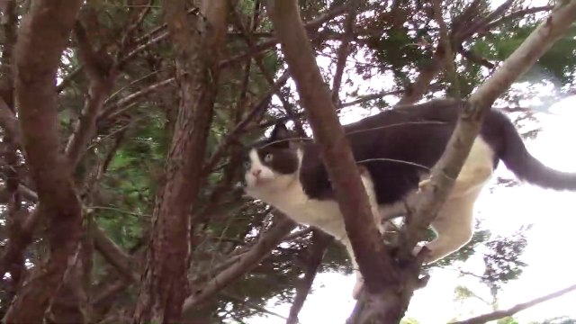 b6.2 Il est plus que temps de reprendre les rênes de notre pays