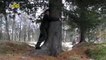 Tree Hugger! Icelandic Forest Service Recommends Hugging a Tree to Fight Quarantine Loneliness!