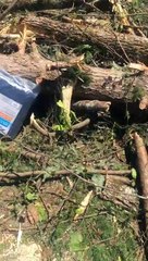 Tornado Destroys Home Woman Wakes Unharmed